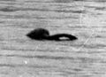 Loch Ness Monster Inverness.jpg